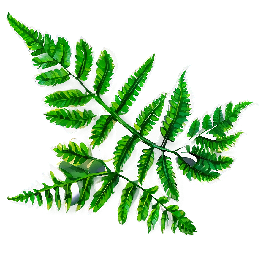 Fern Leaf Botanical Print Png Ihm9