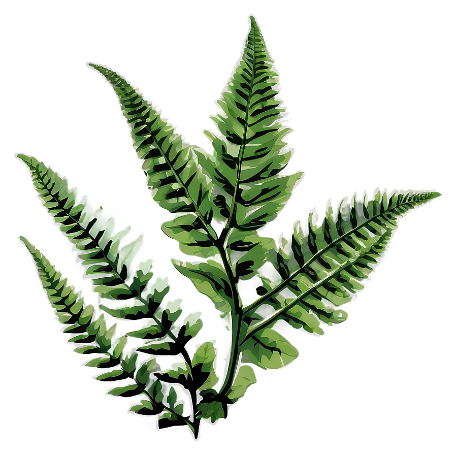 Fern Leaf Botanical Print Png Jps