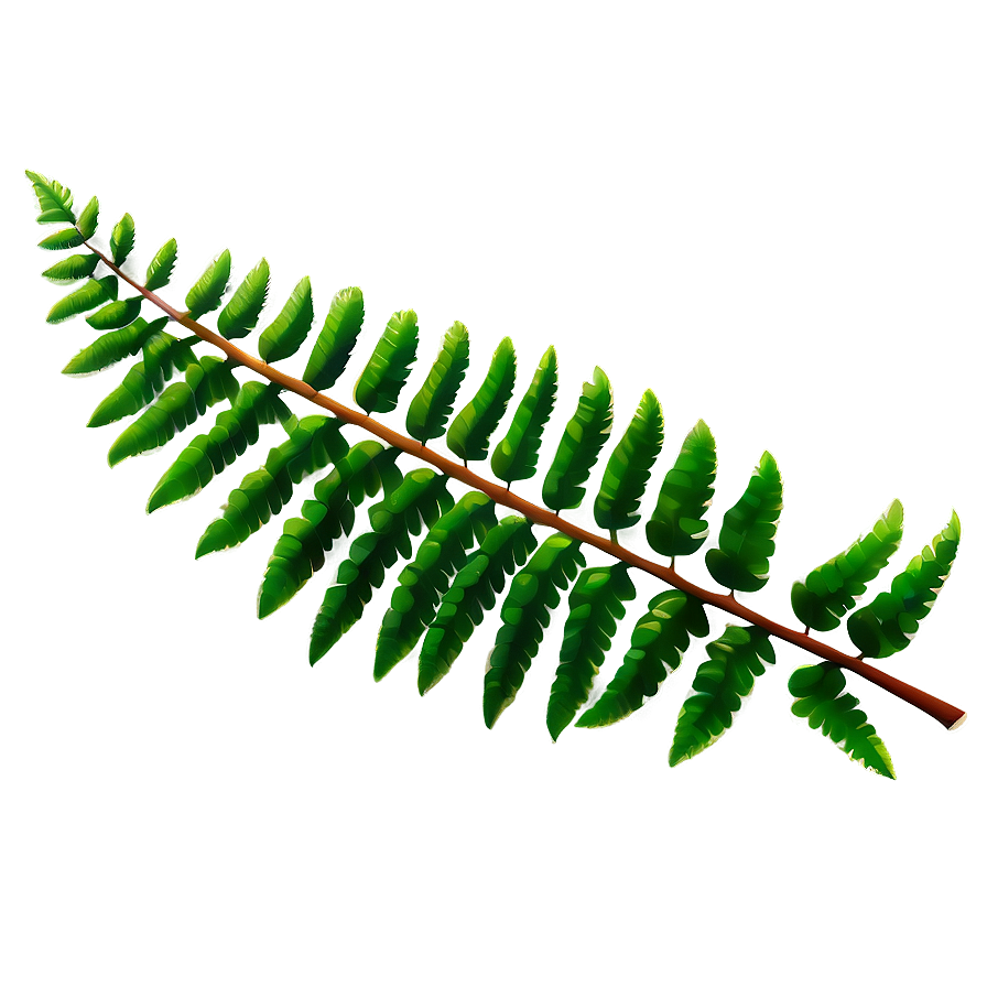 Fern Leaf C