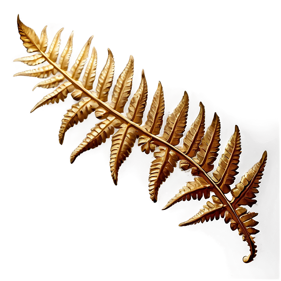 Fern Leaf Fossil Impression Png Qrw