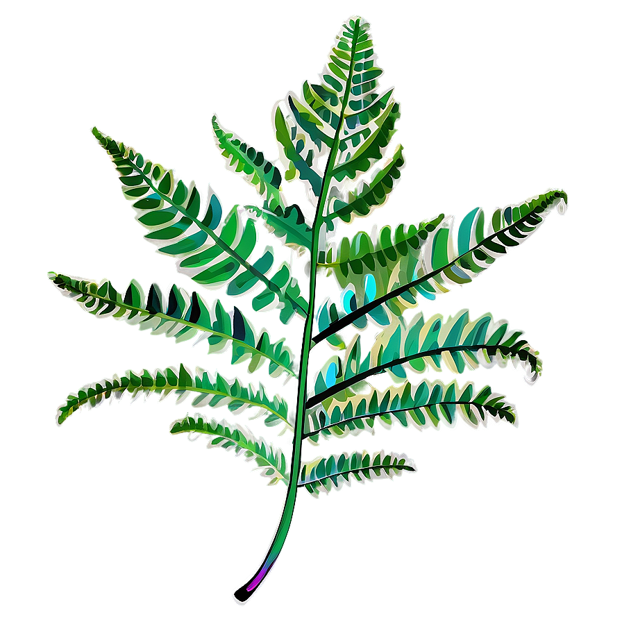 Fern Leaf Illustration Png Qpt66