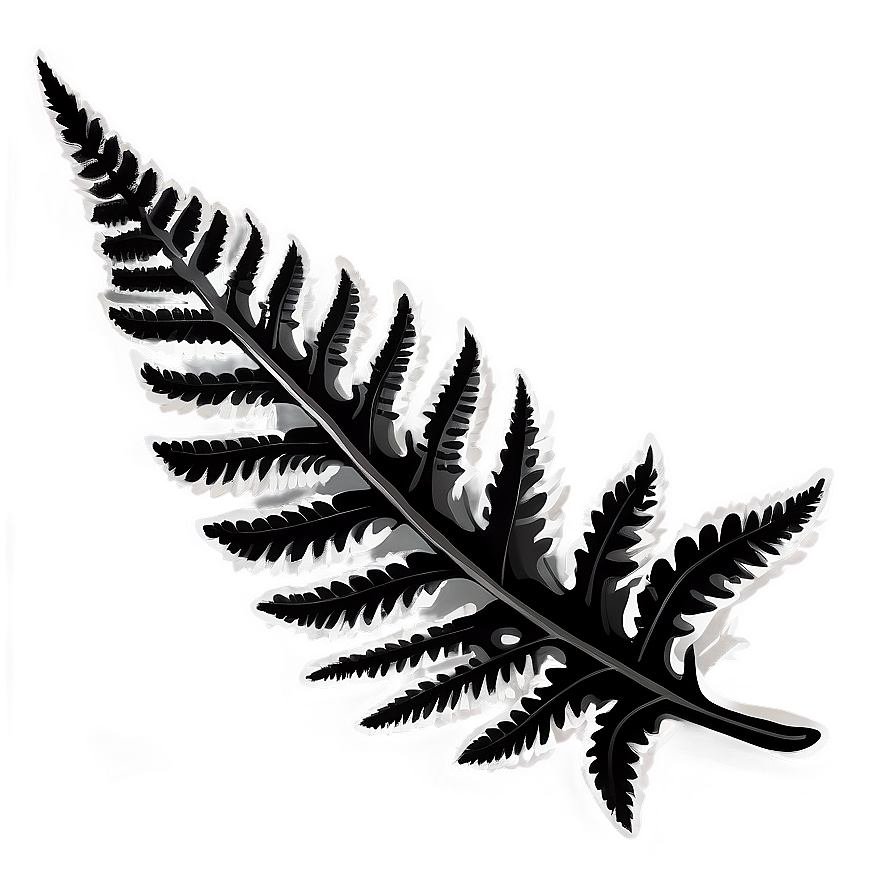 Fern Leaf In Black And White Png Tli16