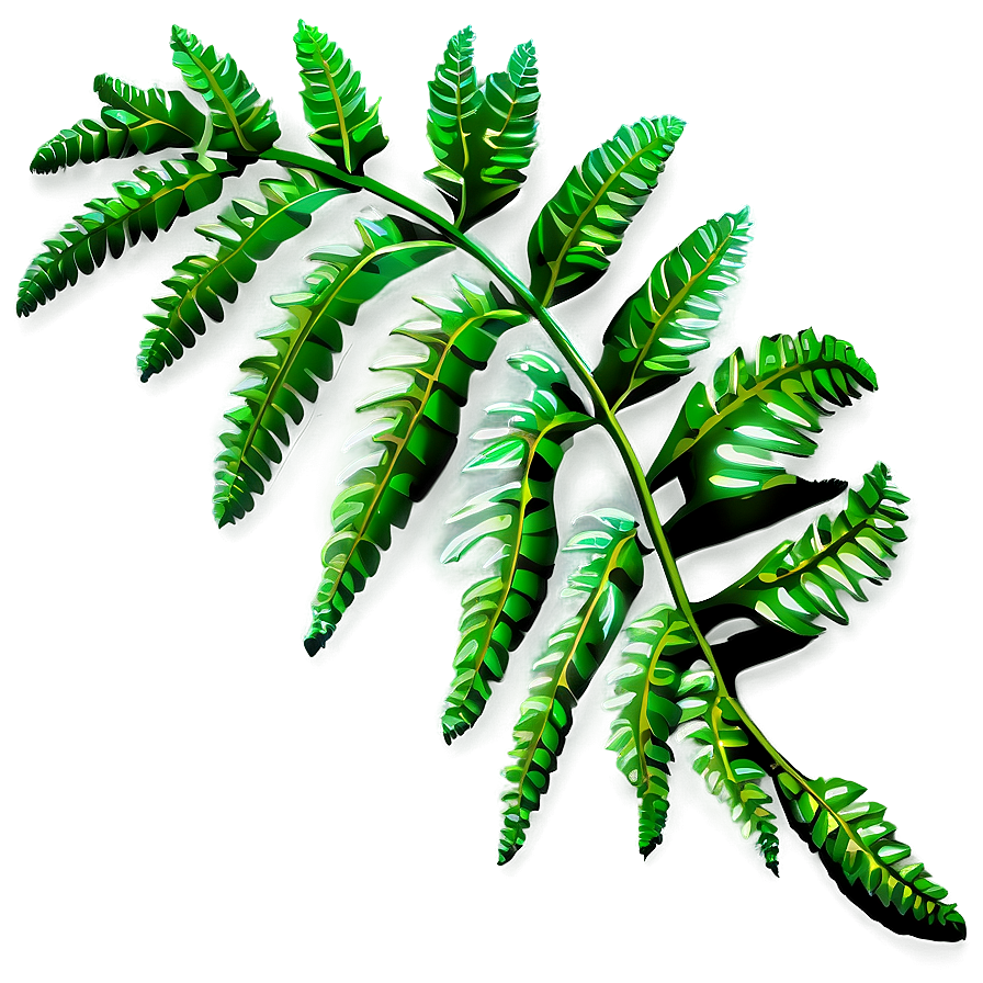 Fern Leaf Outline Png 06282024