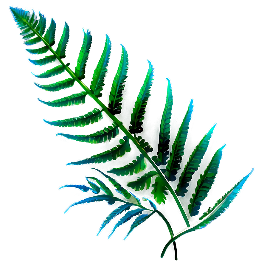 Fern Leaf Outline Png Syb85