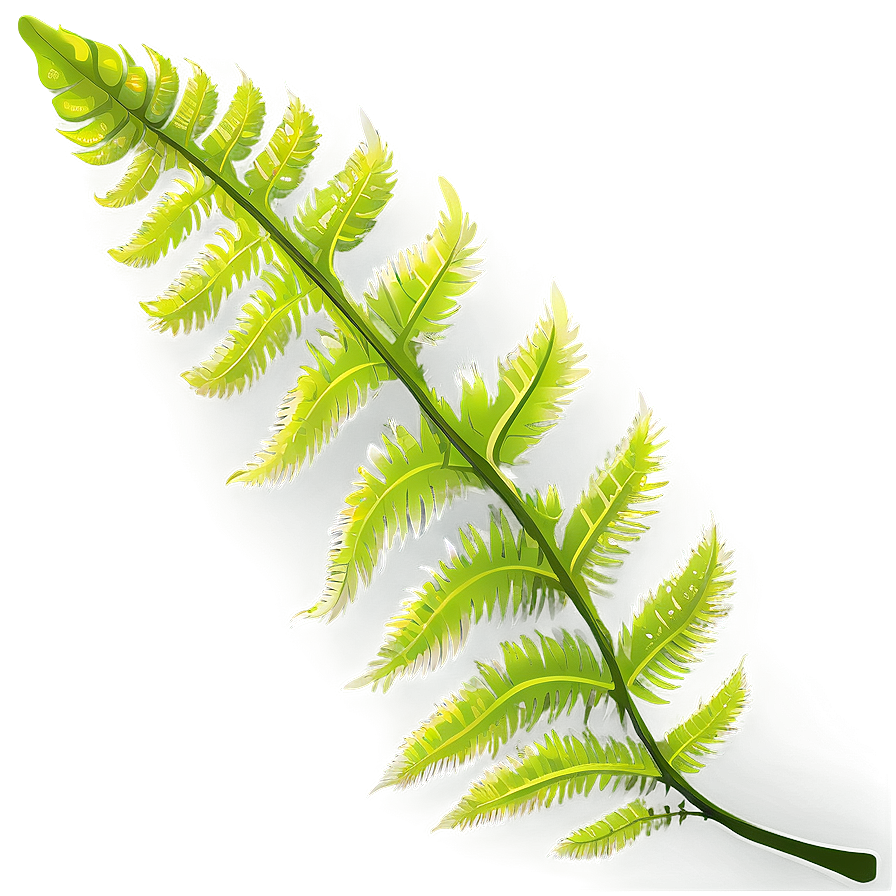 Fern Leaf Vector Artwork Png 21