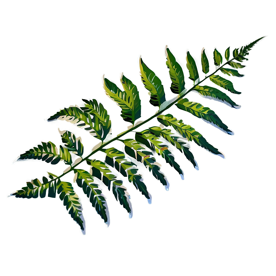 Fern Leaf Zen Garden Png Ilw