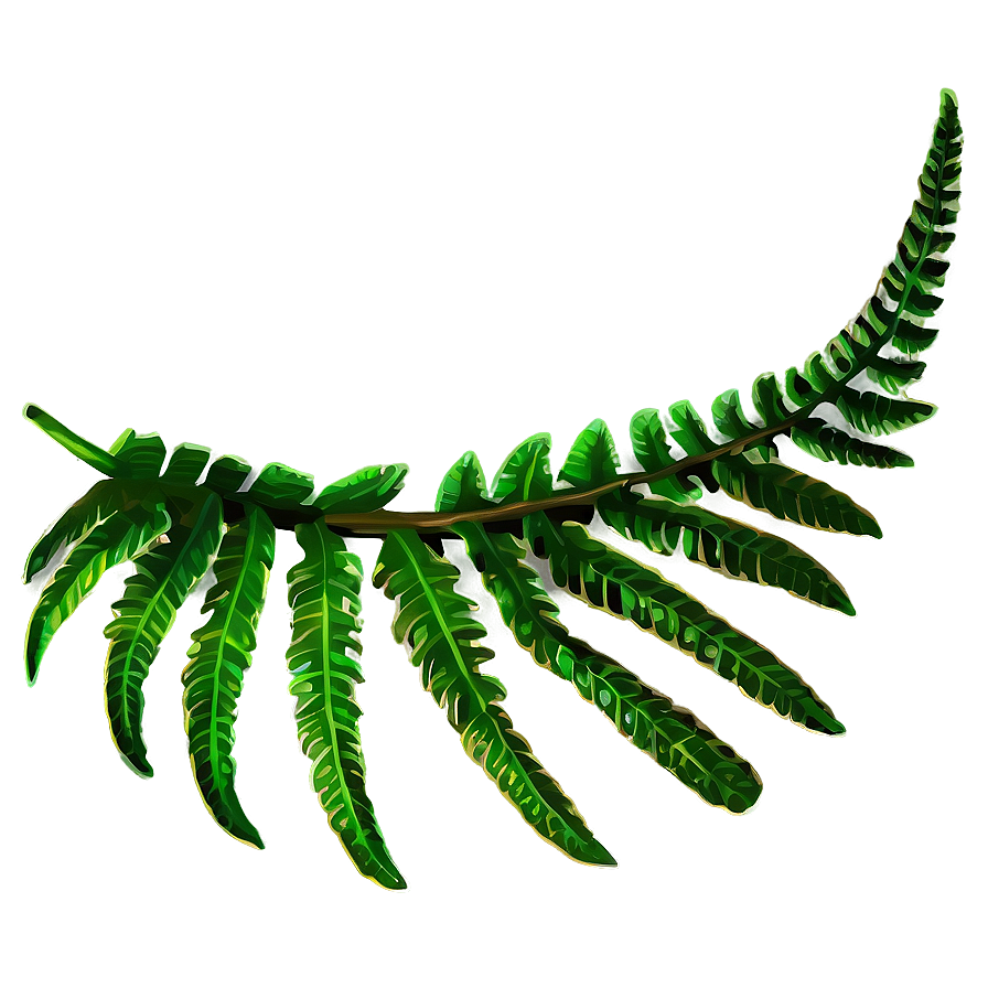 Fern Tropical Leaf Png Umq74