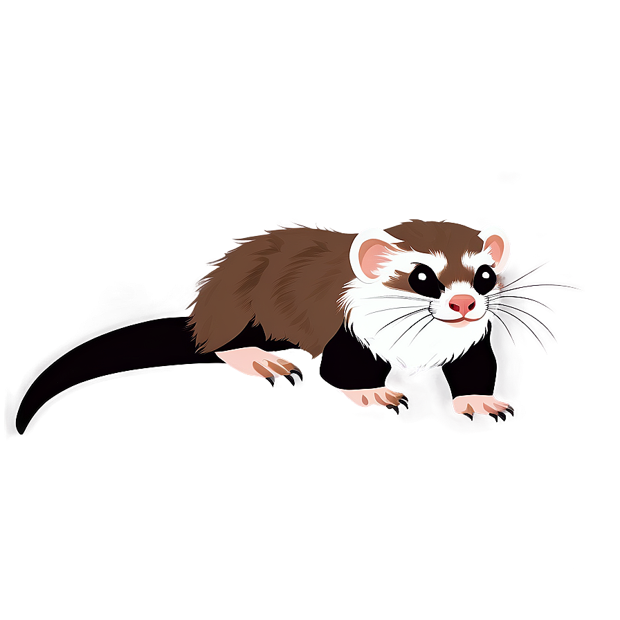 Ferret Illustration Png 73