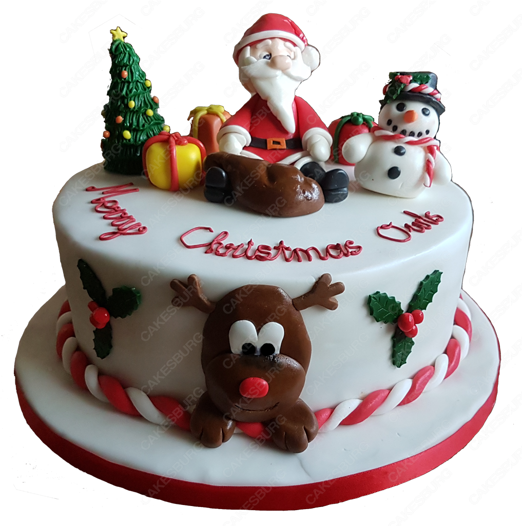 Festive Christmas Cakewith Santaand Reindeer