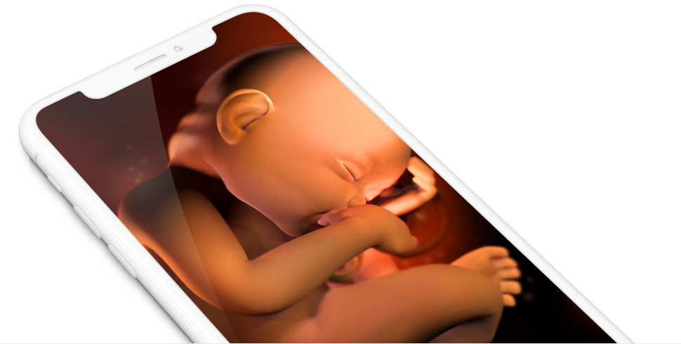 Fetal Imagery Through Smartphone