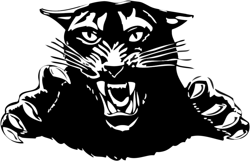 Fierce Black Panther Graphic