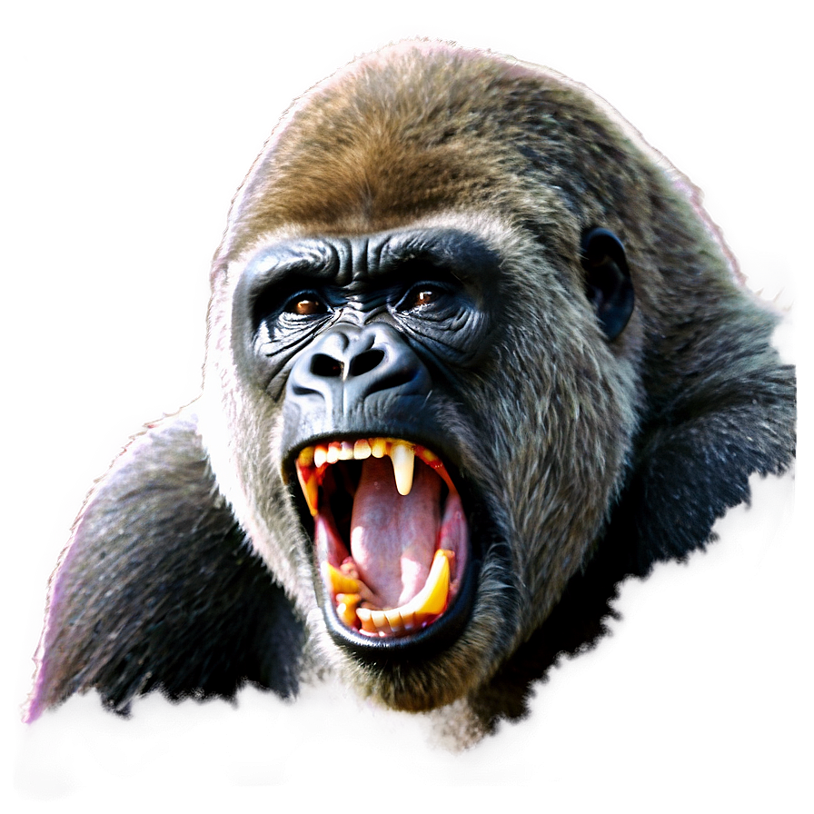 Fierce Gorilla Roar Png Pic