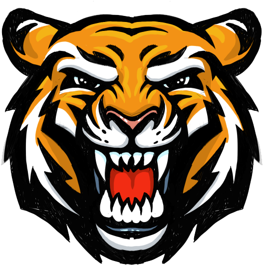 Fierce Tiger Head Illustration