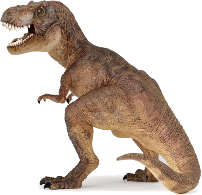 Fierce Tyrannosaurus Rex P N G