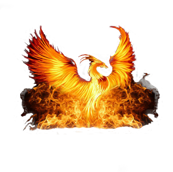 Fiery Phoenix Artwork