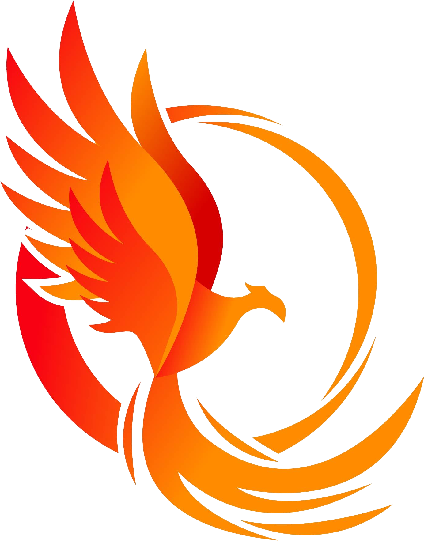 Fiery Phoenix Graphic