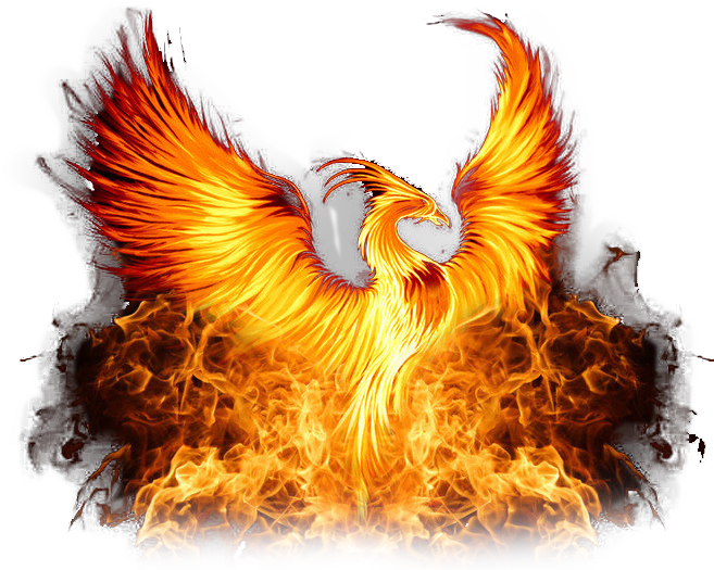 Fiery Phoenix Rising