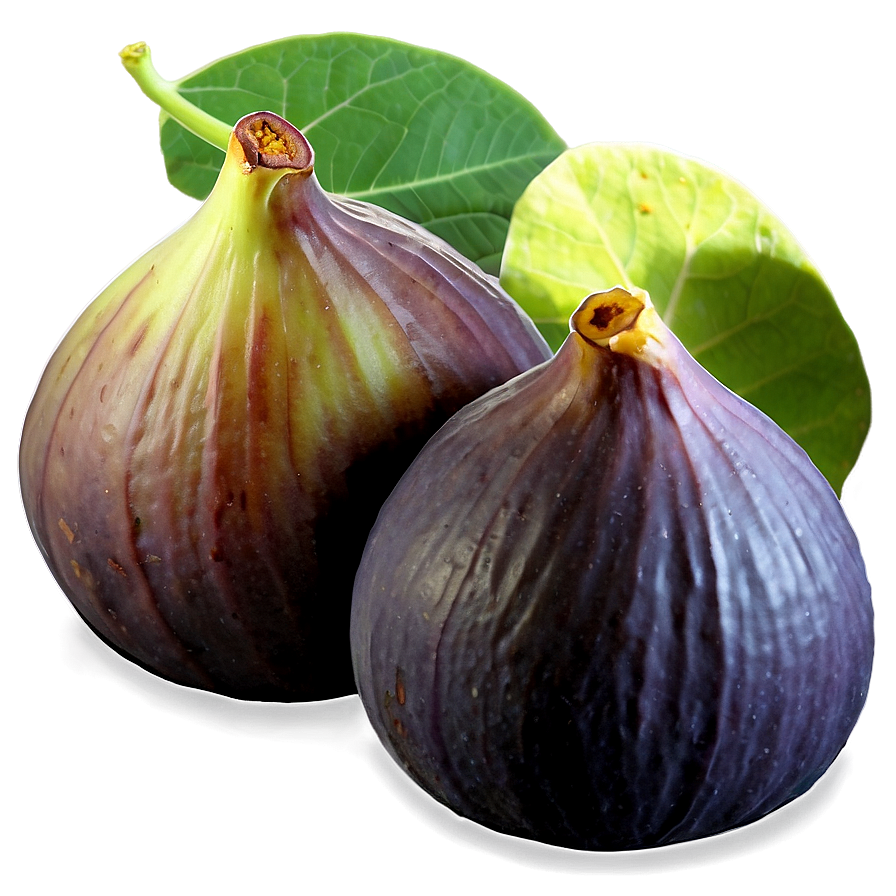 Figs B