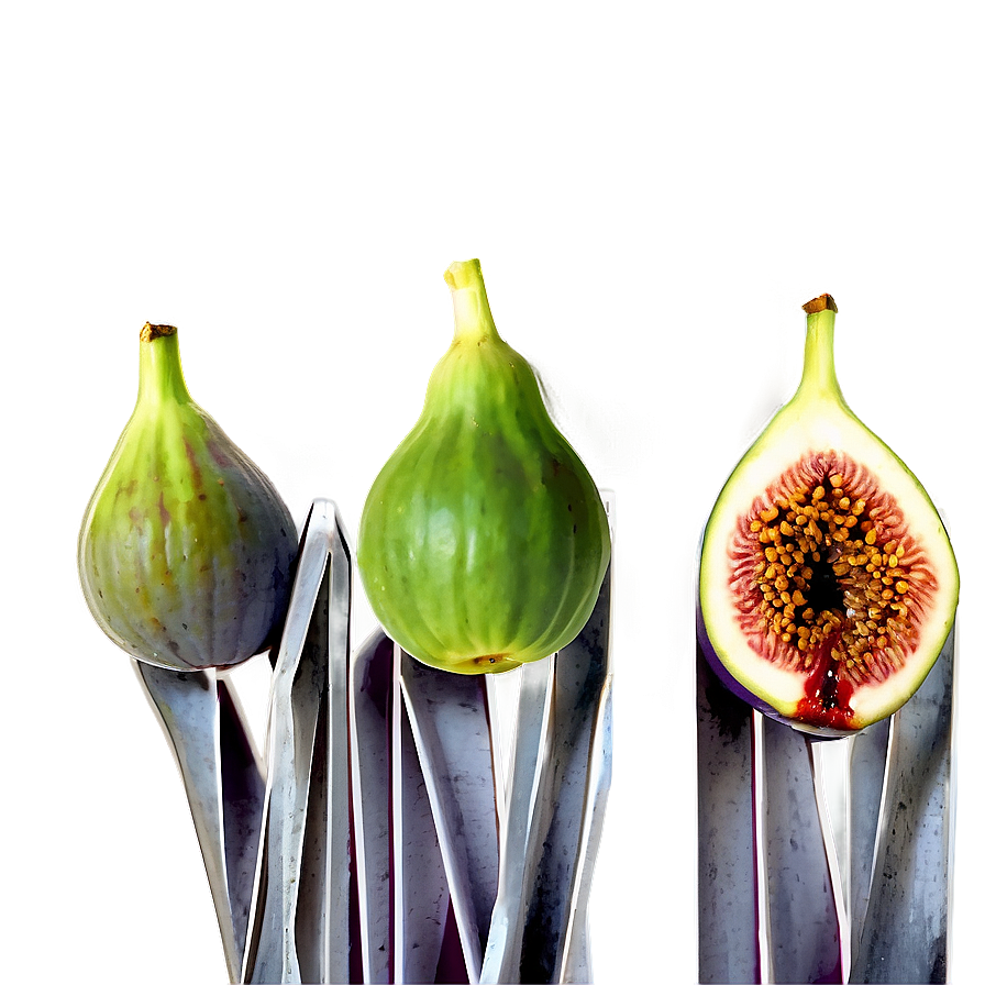 Figs In A Row Png 06252024