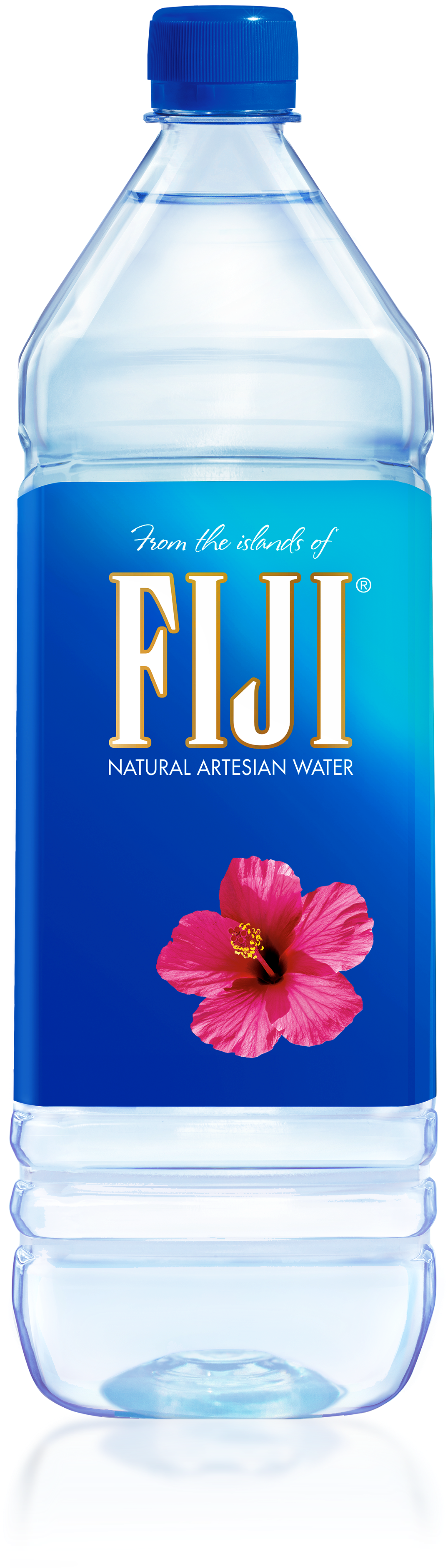 Fiji Water Bottle Artesian Product