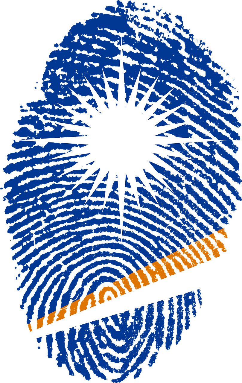 Fingerprint Sunrise Graphic