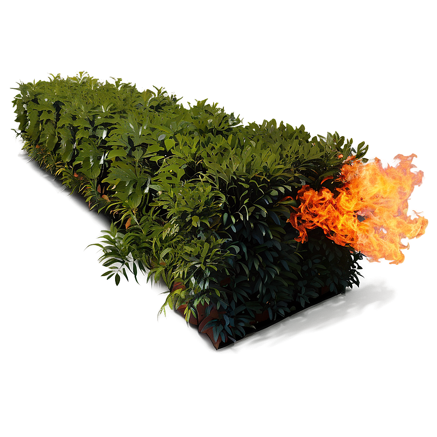 Fire-resistant Bush Png Moo2