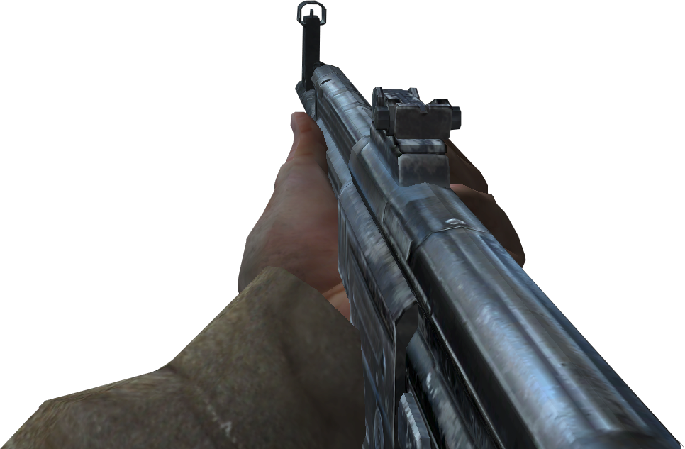 First Person View Callof Duty Gun