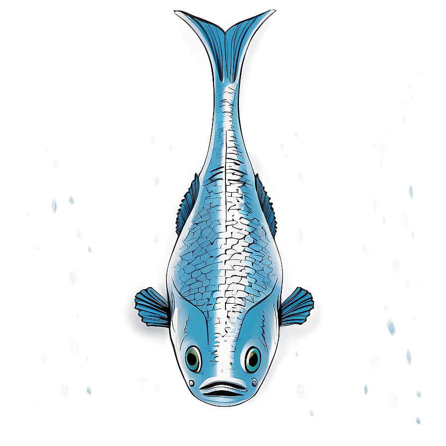 Fish Drawing Png 04292024