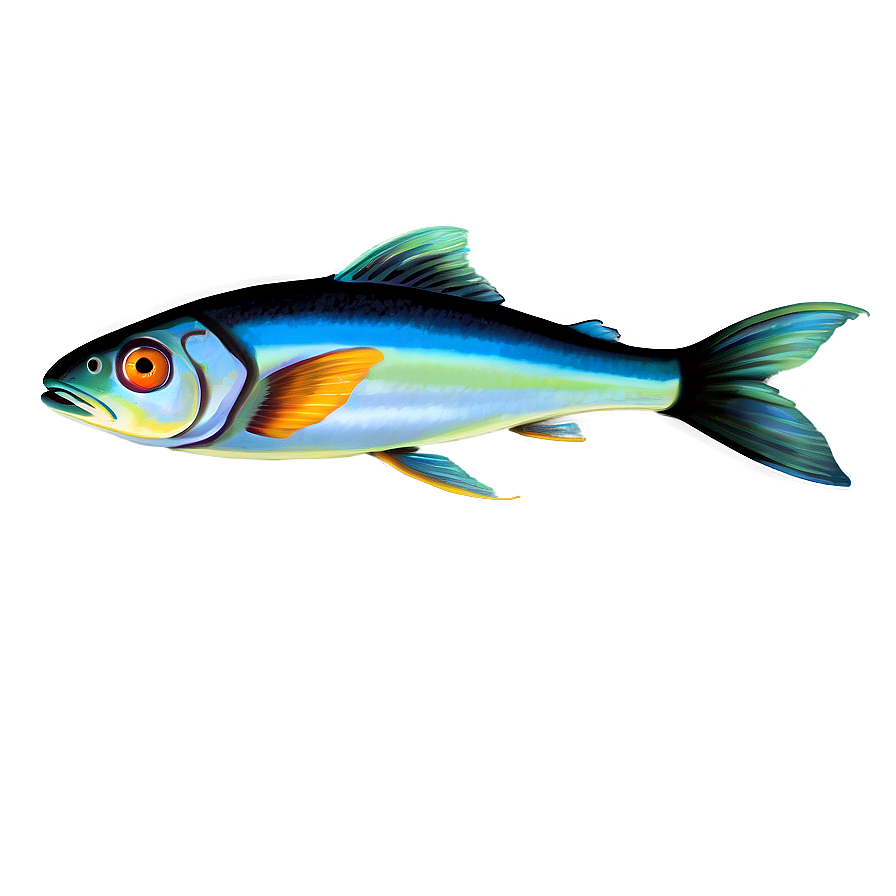 Fish Drawing Transparent Png 73