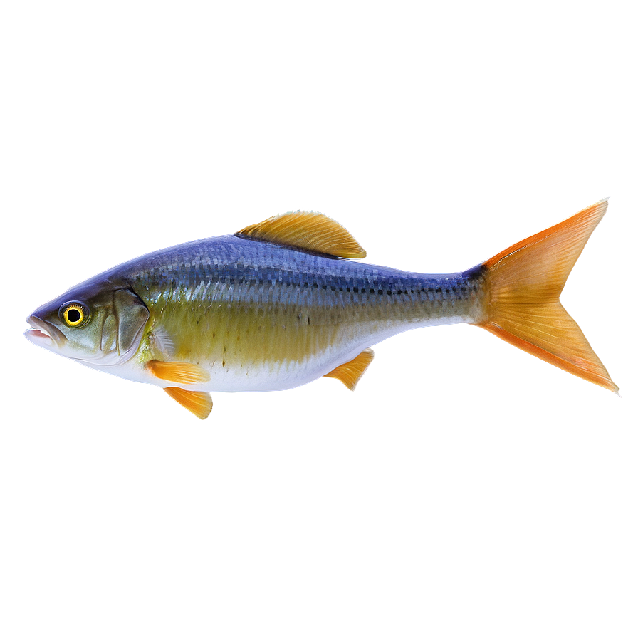 Fish Food Transparent Png Vyp37