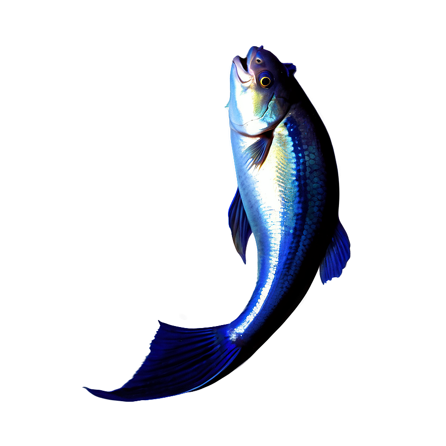 Fish Silhouette Png 17