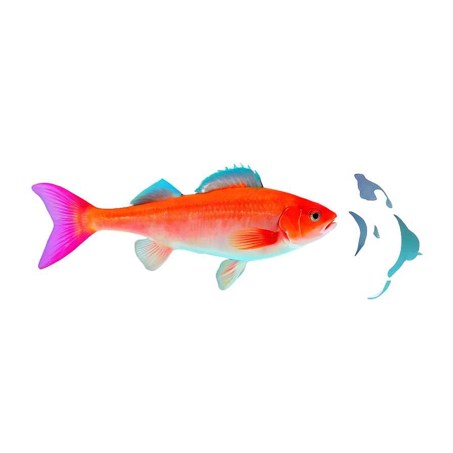 Fish Silhouette Transparent Png 05262024