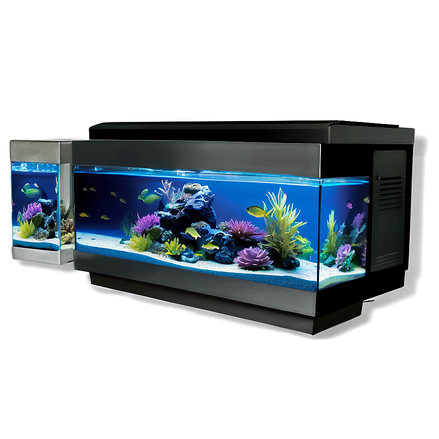 Fish Tank Setup Png 06122024