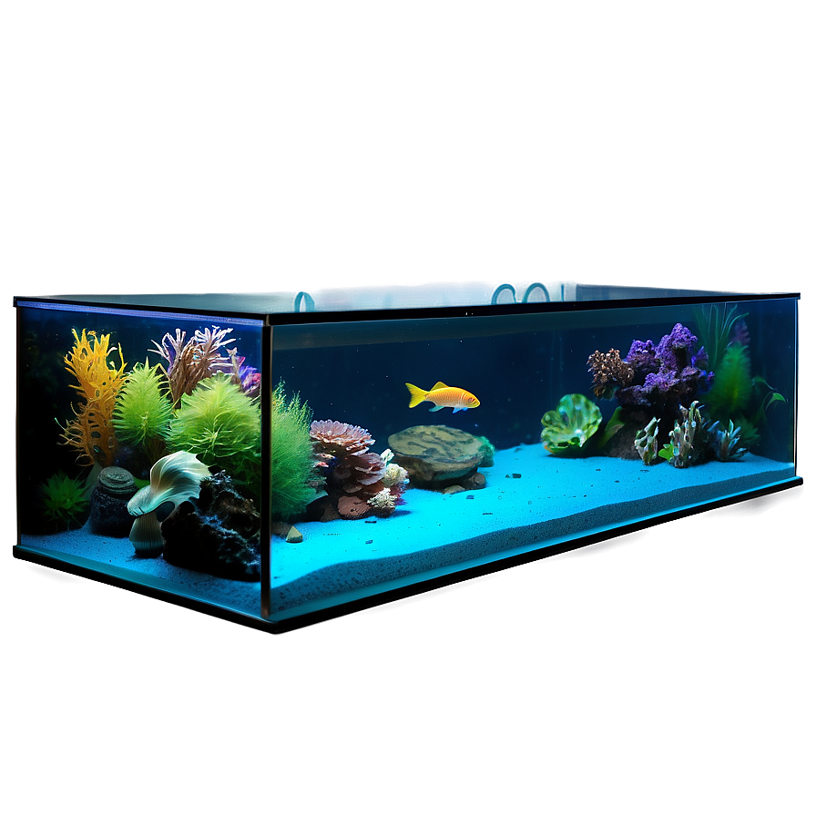 Fish Tank Side View Png Ykv54