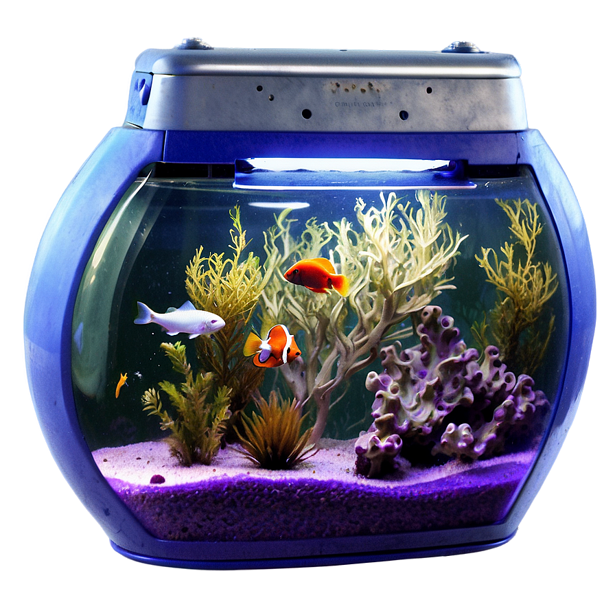 Fish Tank Top View Png Wwq13