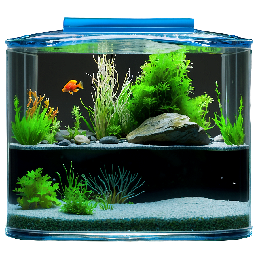 Fish Tank Water Png 06122024