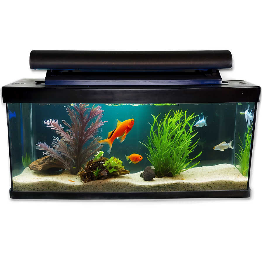 Fish Tank With Fish Png Mbd45