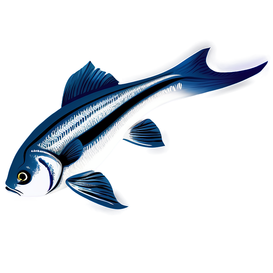 Fish Vector Png 04292024