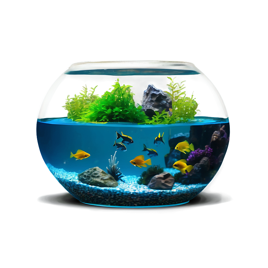 Fishbowl Aquarium Setup Png Wde