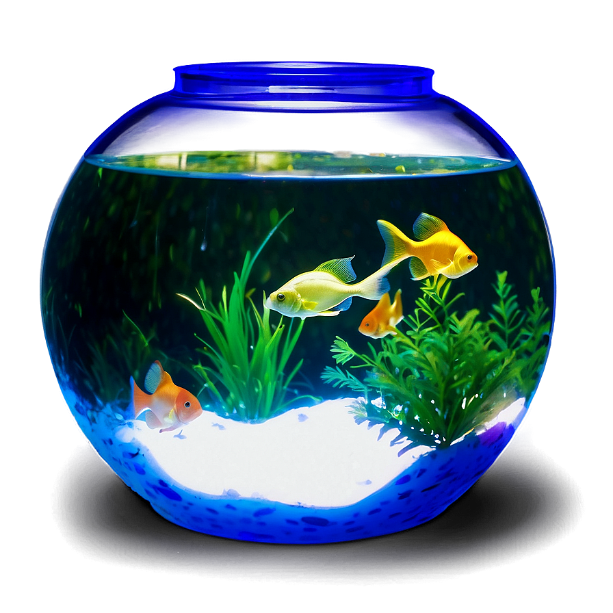 Fishbowl With Led Light Png Rtd33