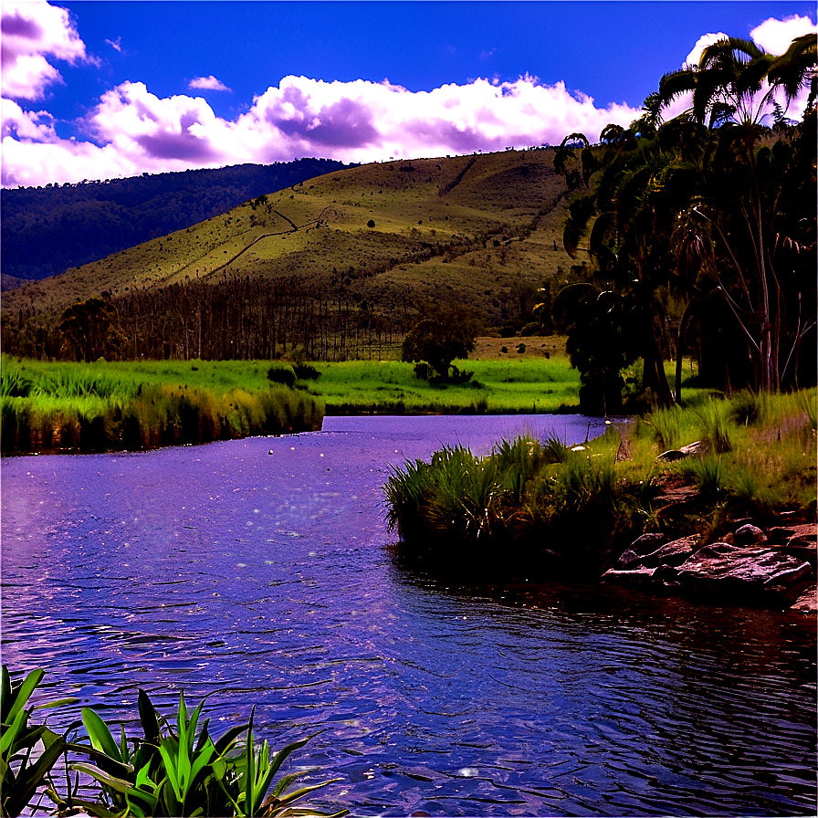 Fishing Spot Near Rural Dam Png Vyj66