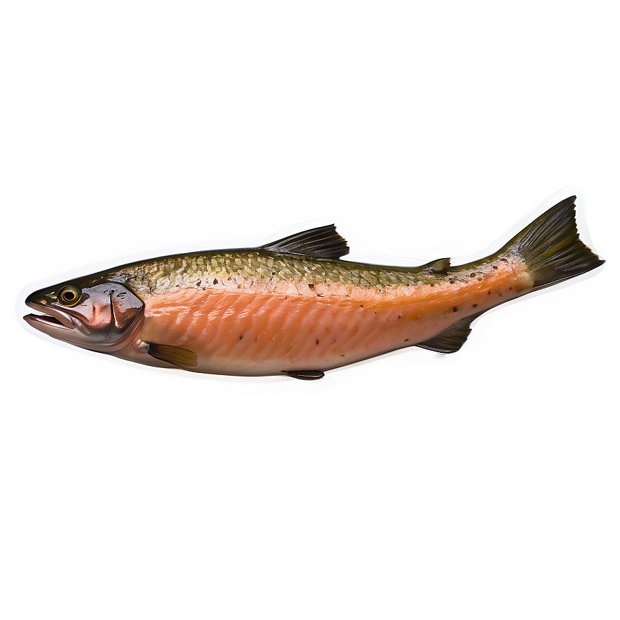 Flakey Oven Baked Salmon Png 16