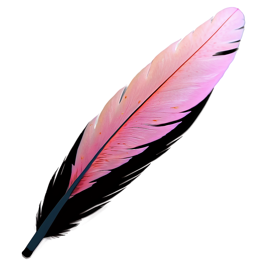 Flamingo Feather Detail Png 1