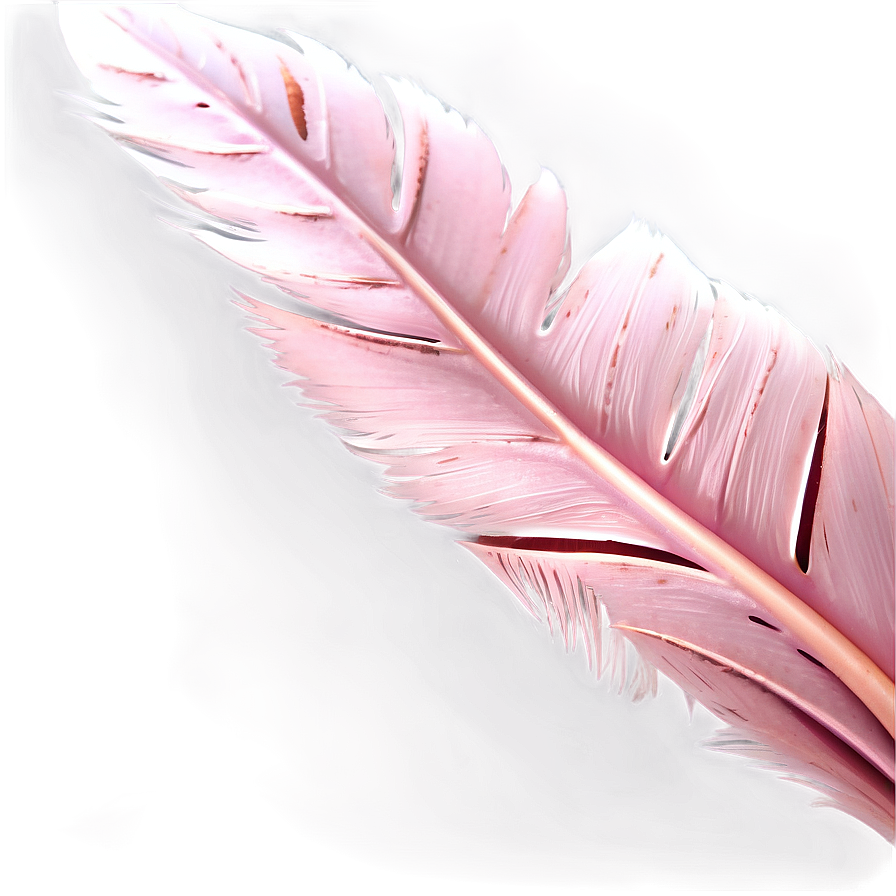 Flamingo Feather Detail Png Iop