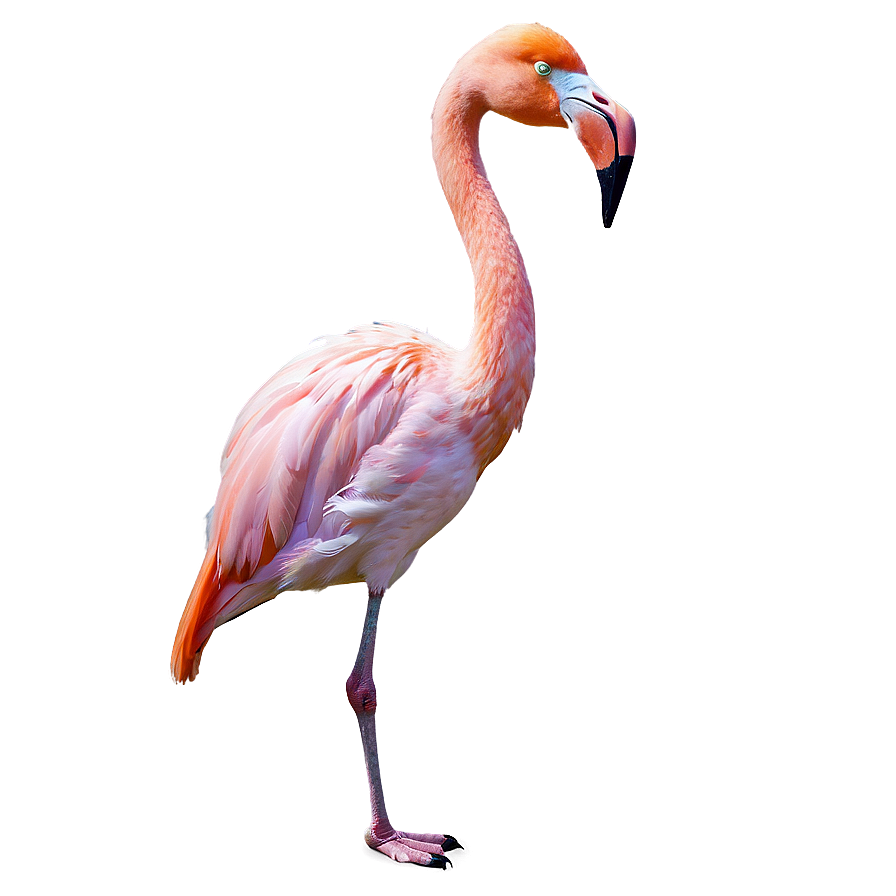 Flamingo In Tropical Paradise Png Pjj95