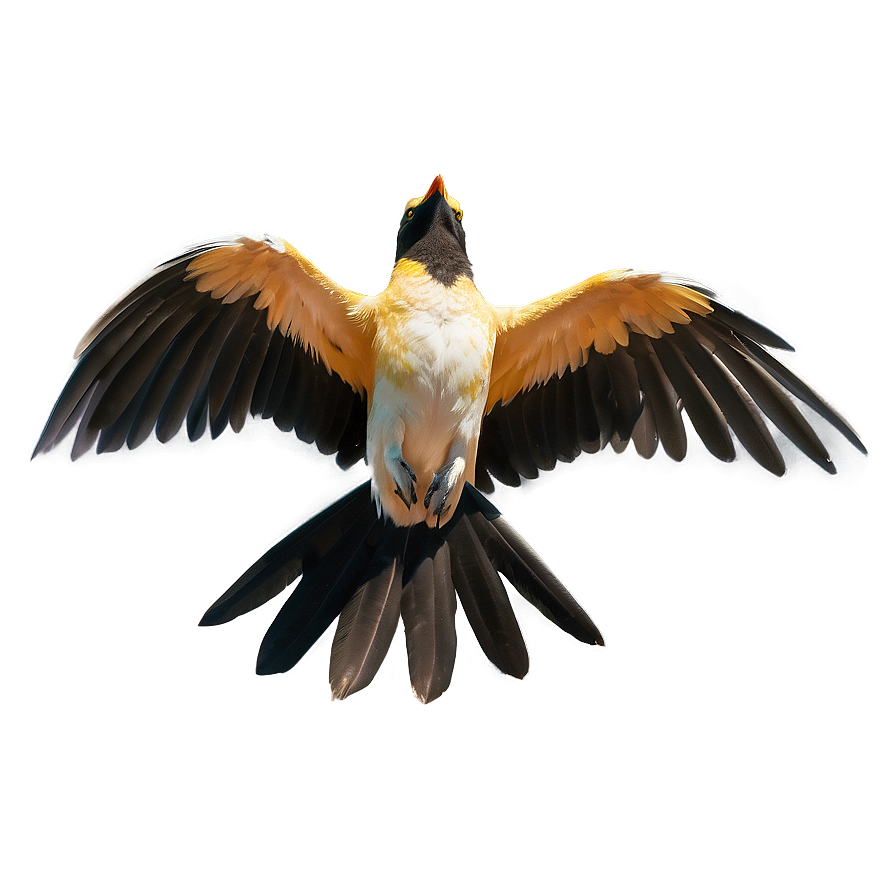 Flapping Wings Bird Png 06122024