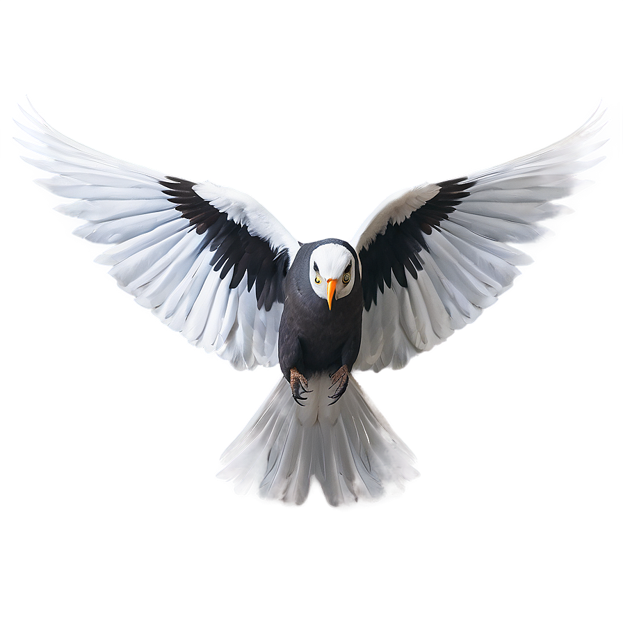 Flapping Wings Bird Png Pac