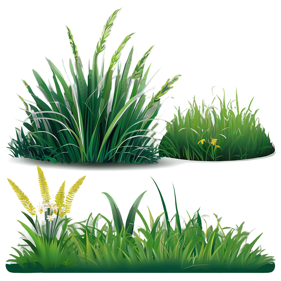 Flat Grass Clipart Png 06272024