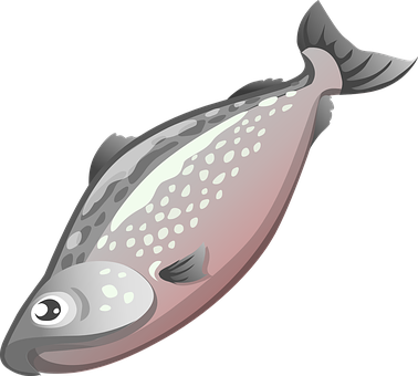 Flatfish Illustrationon Black Background