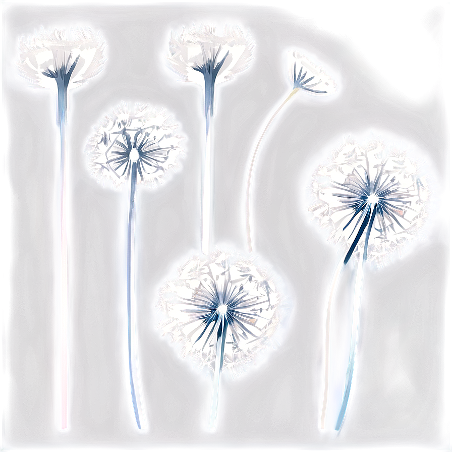 Floating Dandelion Seeds Png 06292024